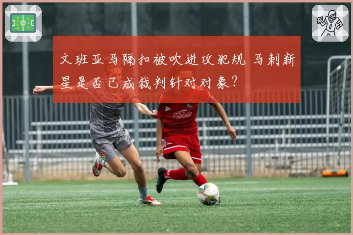 文班亚马隔扣被吹进攻犯规 马刺新星是否已成裁判针对对象?