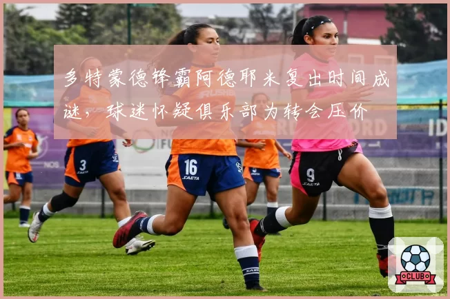 多特蒙德锋霸阿德耶米复出时间成谜,球迷怀疑俱乐部为转会压价