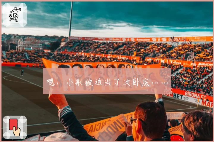 嗯，小荆被迫当了次卧底……