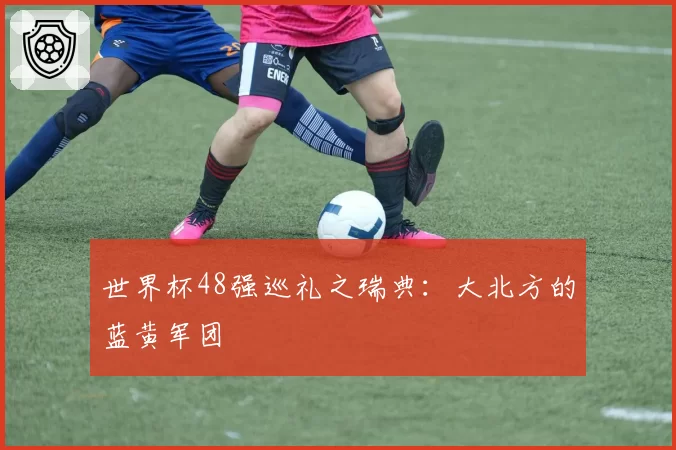 世界杯48强巡礼之瑞典：大北方的蓝黄军团