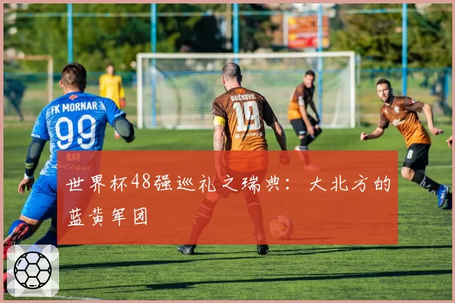 世界杯48强巡礼之瑞典：大北方的蓝黄军团
